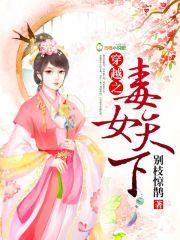 穿越之毒妃风华