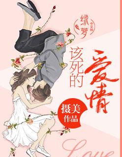 歌曲该死的爱