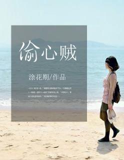 偷心贼打一个字