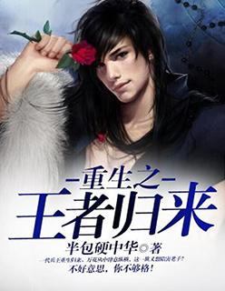 重生之王者归来于峰作者
