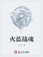 战火兵魂剧情