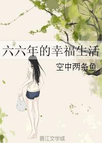 六六年的幸福生活全文阅读