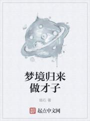 梦见归来做才子