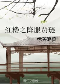 红楼之降服贾琏txt