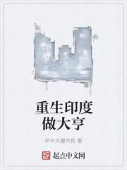 重生印度做大亨笔趣阁