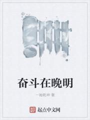 奋斗在明末