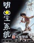 神级娱乐明星系统叶尘