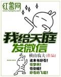 我给天庭发微信完整版