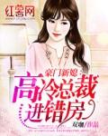 霸道总裁高冷妻全文