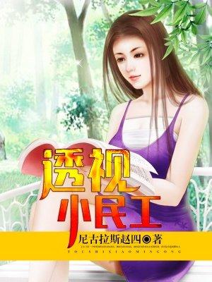 透视小民工全本