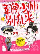 军阀少帅百度百科