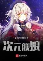 次元舰队11