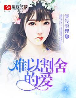 难以割舍的爱游戏
