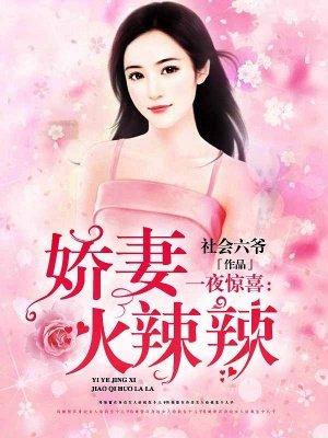 一夜惊喜娇妻火辣辣的