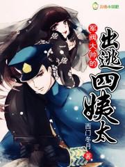 军阀大帅的出逃四姨太为什么不更新了