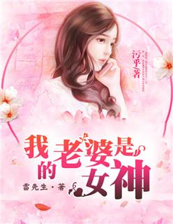 我的老婆是女神评价