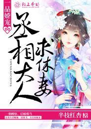 丞相大人求休妻免费阅读