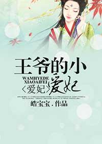 王爷宠小王妃的