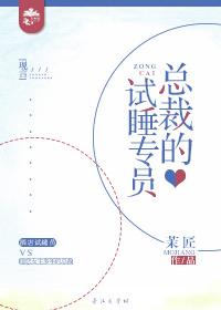 试婚吗有声