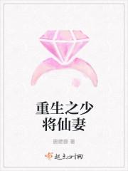 重生之少将的男妻