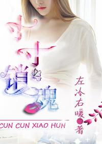 寸寸销魂何生祥全本免费