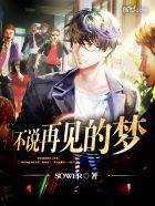 不说再见歌