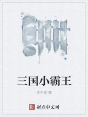 小霸王 三国演义