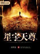星天宇公司