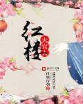 红楼大官人几个女主