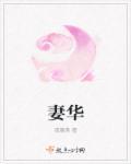 我的傻白甜老婆最新