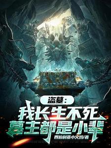 我盗墓生涯