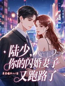 闪婚陆少的心尖宠