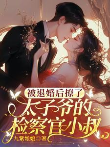 被退婚后成了太子妃作者庄小九