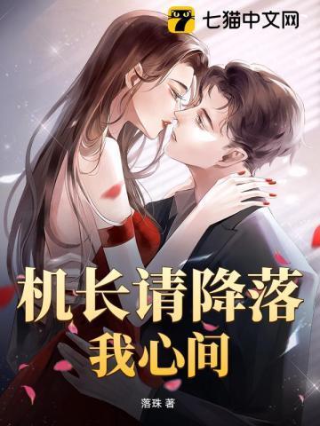 机长请降落
