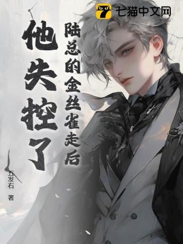 陆少的金丝雀女友倾九