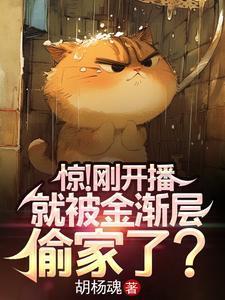 金渐层的小猫