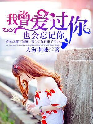 我曾爱过你什么歌