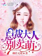 总裁大人别闹了
