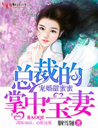 宠妻甜蜜蜜总裁的掌中宝妻80