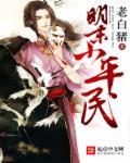 明末小平民 顶点