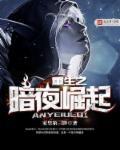 重生之暗夜帝王