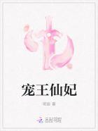 宠妃皇妃