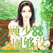 豪门闪婚顾少宠妻入骨