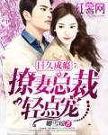日久成瘾撩妻总裁轻轻宠
