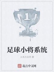 足球小将系统笔趣阁