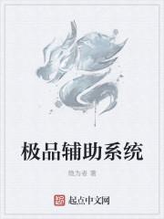 极品辅助盒子怎么用替换