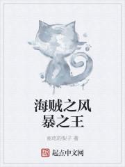 海贼王之风暴狂袭