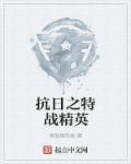 抗日之精英特战队免费阅读