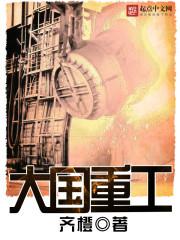 大国重工TXT奇书网