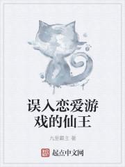 误入游戏攻略